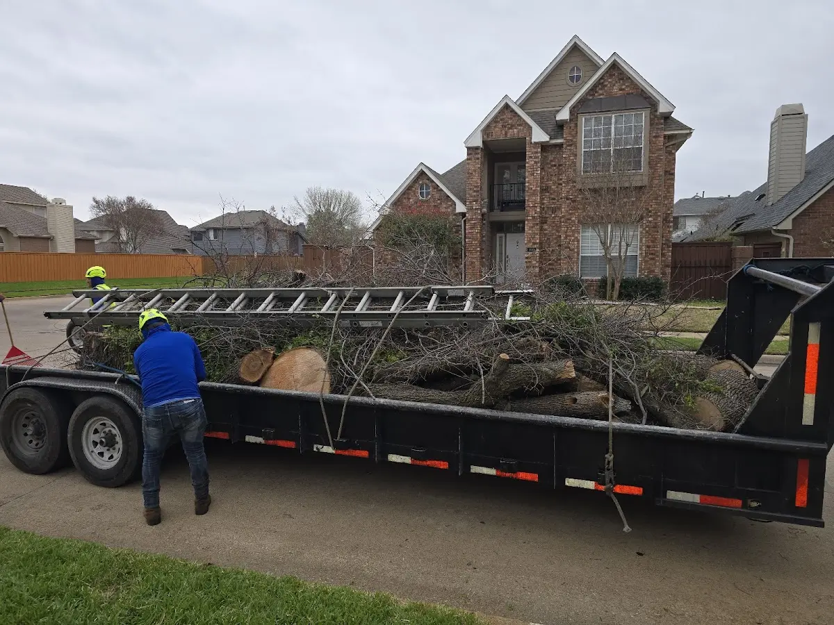 Expert Lot Clearing with proper safety equipment in Mohawk